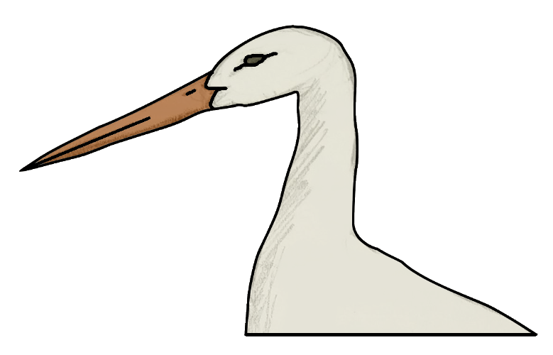 Stork Image